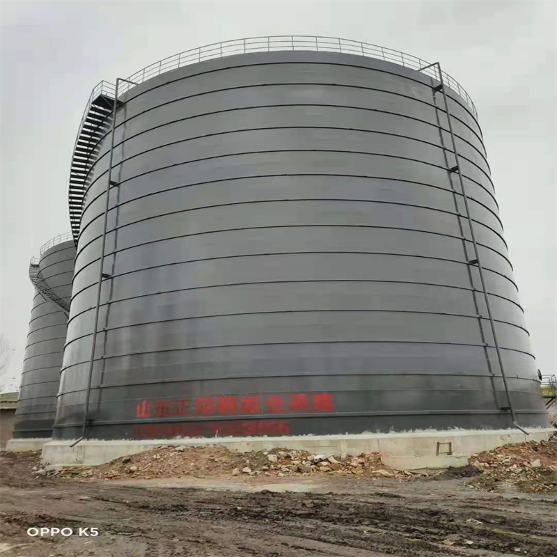 崇阳3万吨大型钢板库